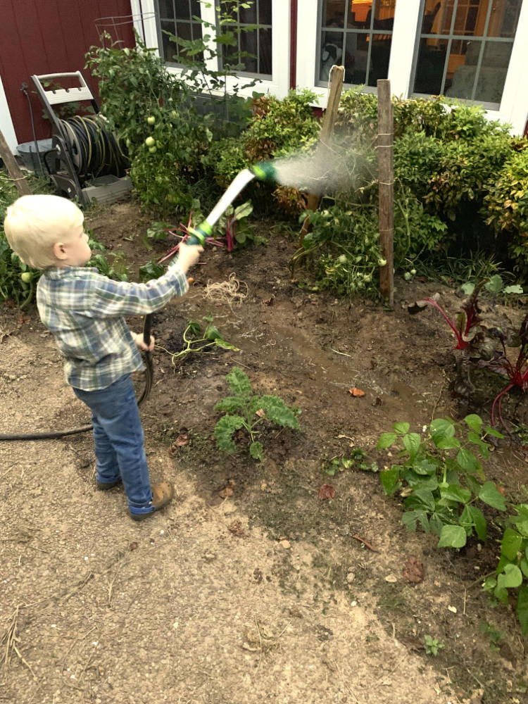 Toddler watering the garden