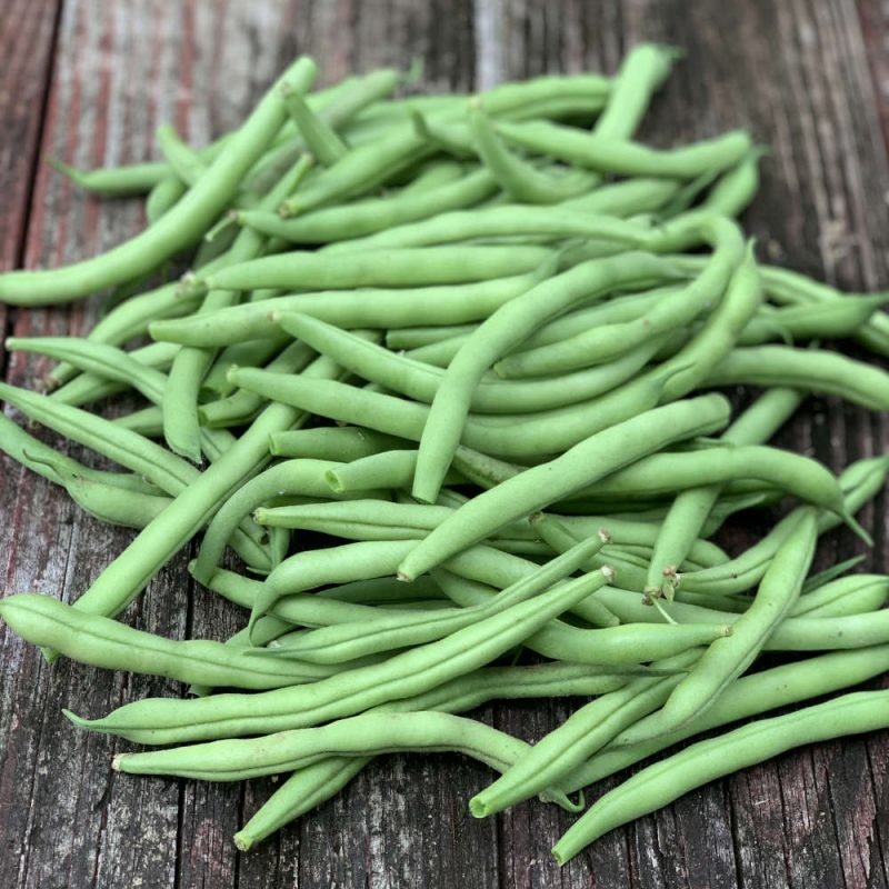 green beans from garden