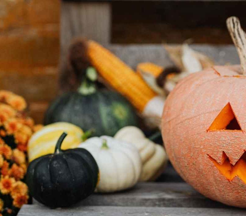 Healthy, Kid-friendly, Recipes to Combat the Halloween Candy Overload