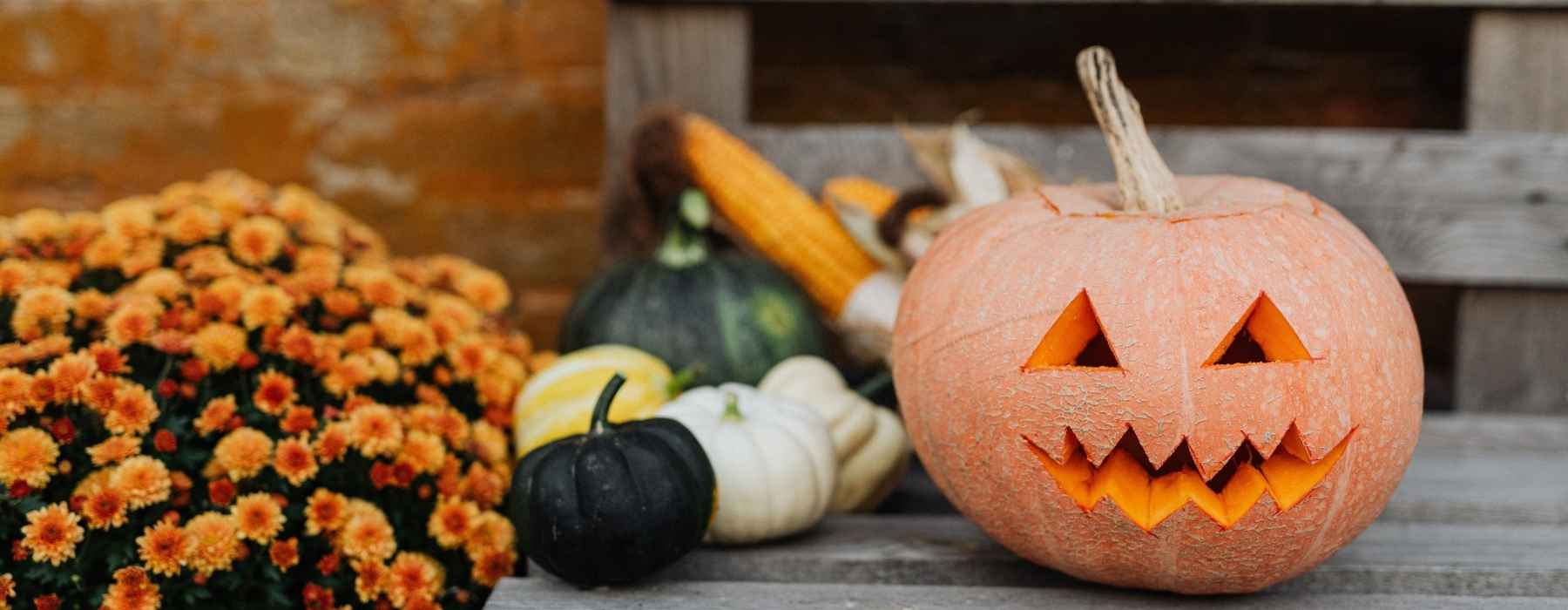 Healthy, Kid-friendly Recipes to Combat the Halloween Candy Overload