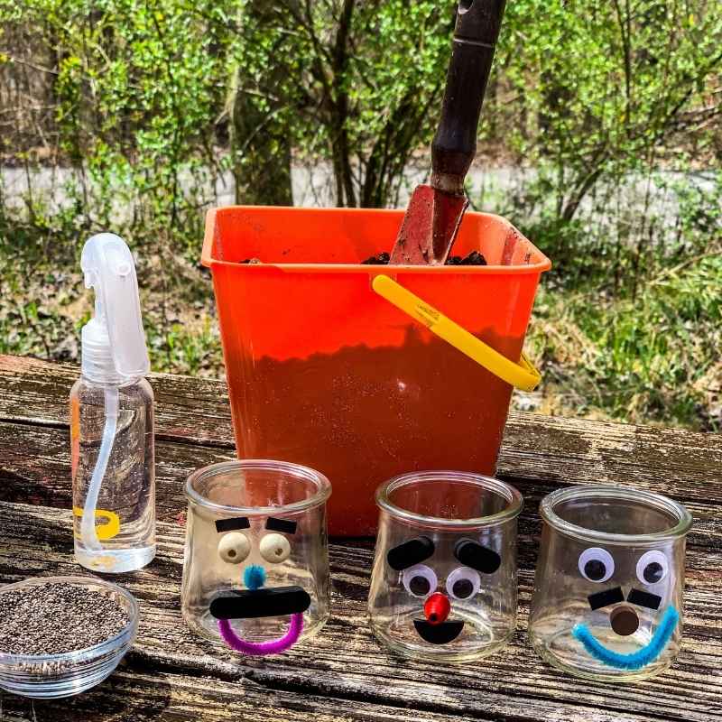 easy chia seed pets for kids
