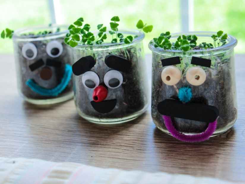 easy chia seed pets for kids